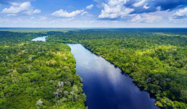 Terungkap mengapa tidak ada jembatan di atas Sungai Amazon