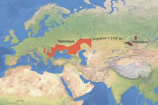 The World's First Horsemen Have Explored Europe 5,000 Years Ago
