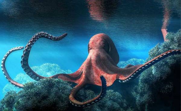 The specialty of the octopus is not only having 8 arms, it actually has 3 hearts and has blue blood