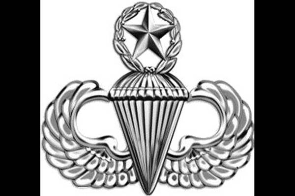 Air Assault Badge - Wikipedia