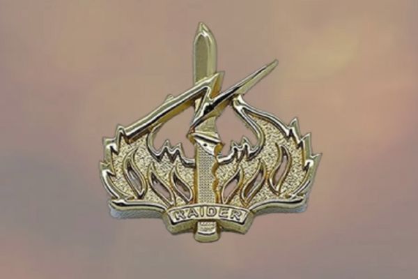 Daftar Brevet TNI AD, Jenis dan juga Maknanya