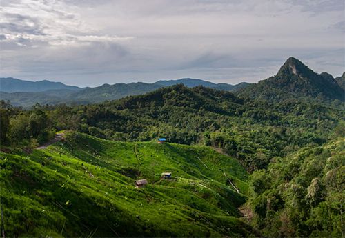 7 Tempat Wisata Dingin di Kalimantan, Nomor 6 Salah Satu Puncak Tertinggi di Indonesia